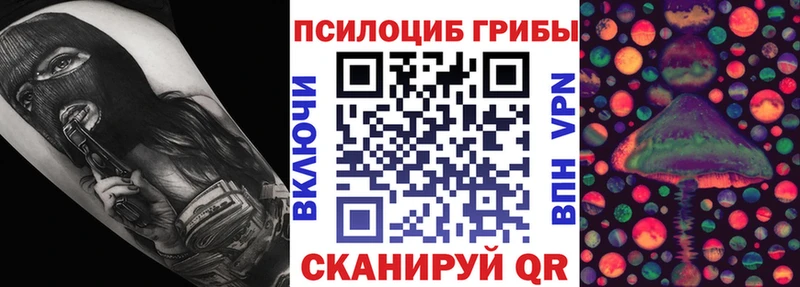 Псилоцибиновые грибы GOLDEN TEACHER Чистополь